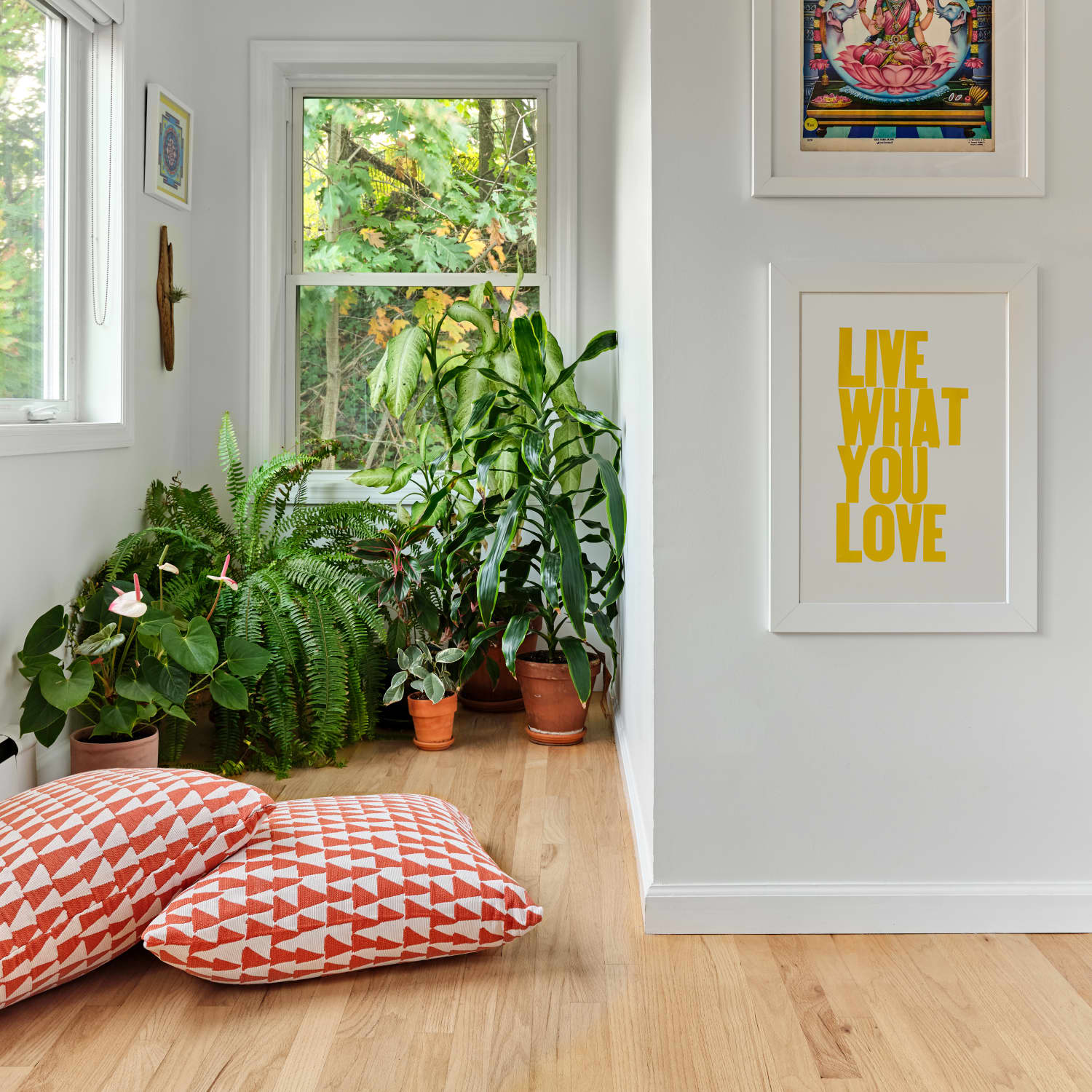 White top wall room